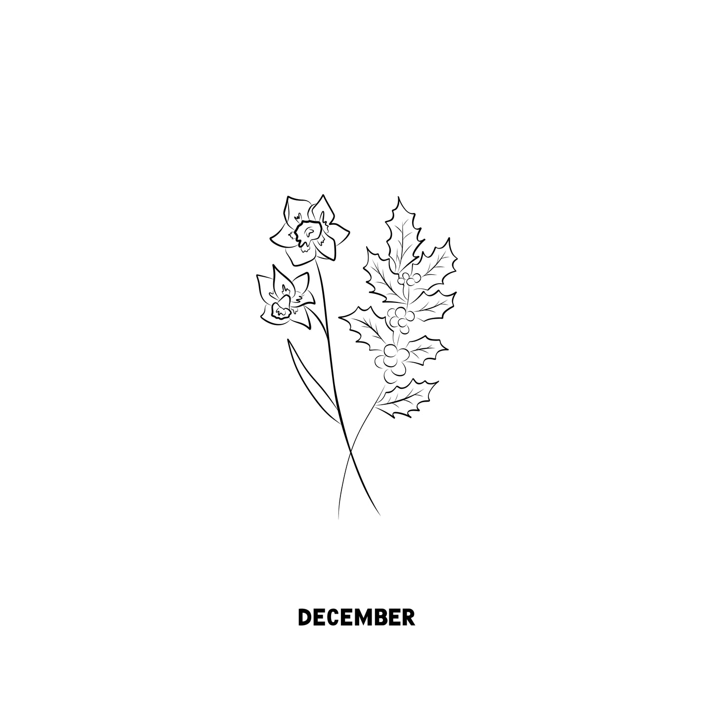 Geboortebloem december