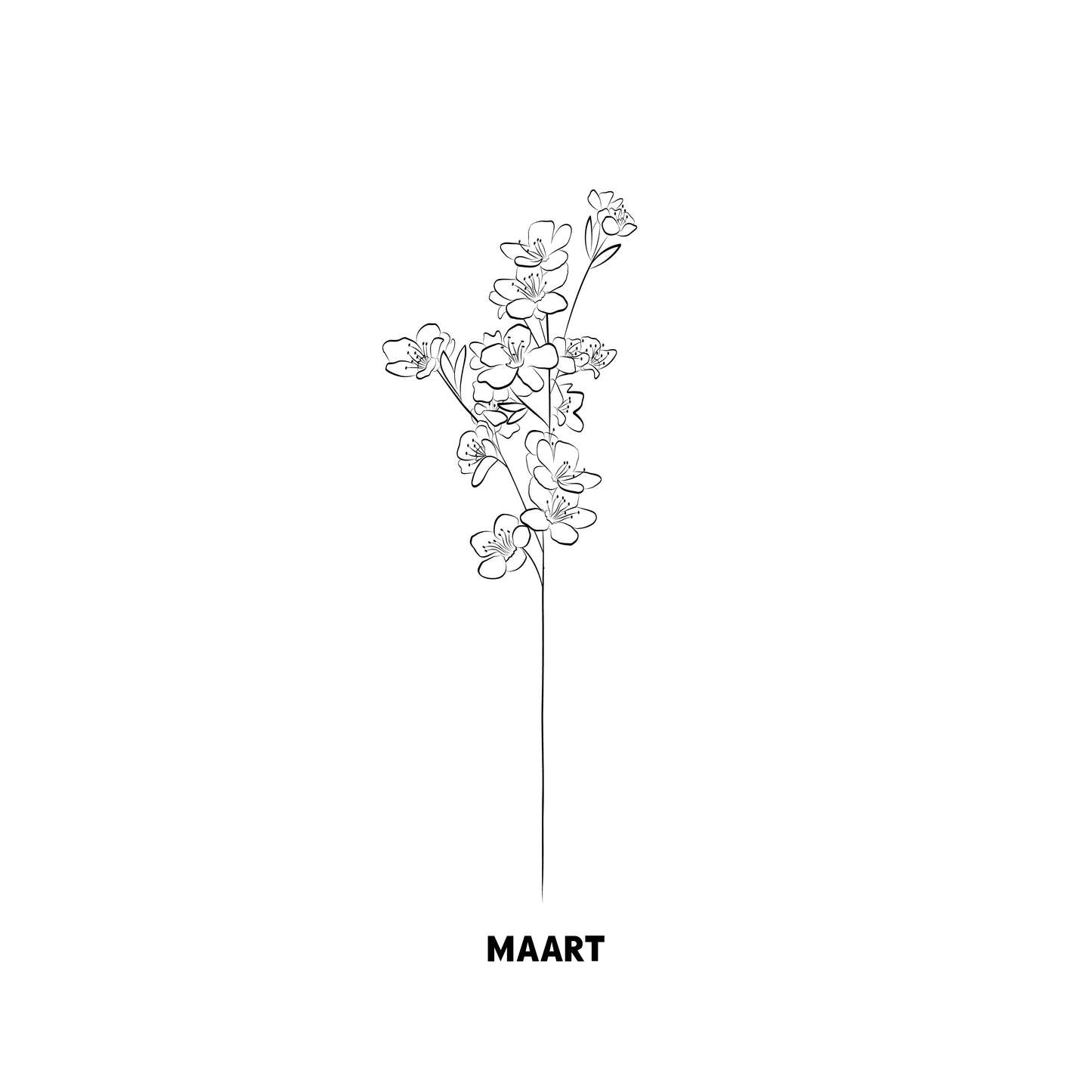Geboortebloem maart